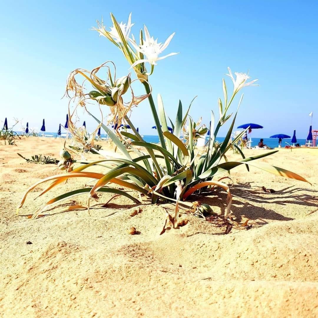 Casa Vacanza Nonna Nena Πόρτο Εμπέντοκλε Εξωτερικό φωτογραφία