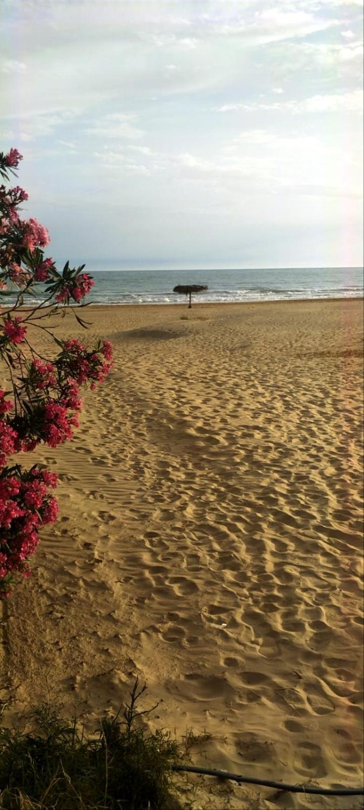Casa Vacanza Nonna Nena Πόρτο Εμπέντοκλε Εξωτερικό φωτογραφία